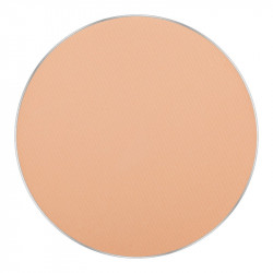 FREEDOM SYSTEM MATTIFYING PRESSED POWDER STAGE SPORT STUDIO NF