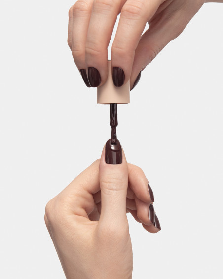 DEEP BROWN 310